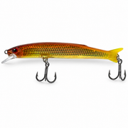 Slim Holographic Minnow