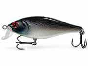 Shallow Crankbait