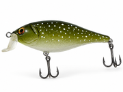 Shallow Crankbait